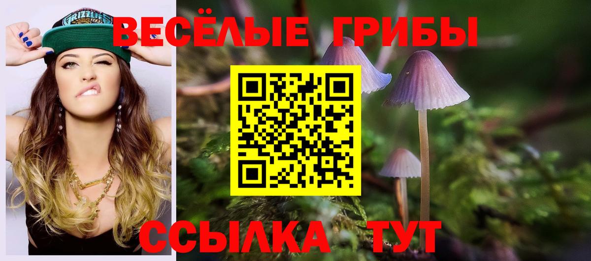 Псилоцибиновые грибы прущие грибы  цены   Моздок  Вход с VPN 